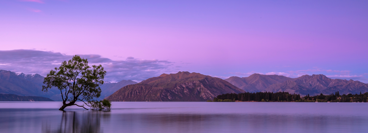 Purple Lake Scene Header