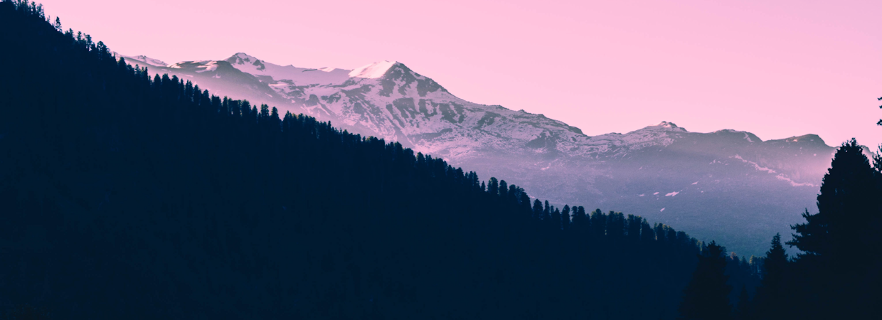 Pink Mountainscape Header